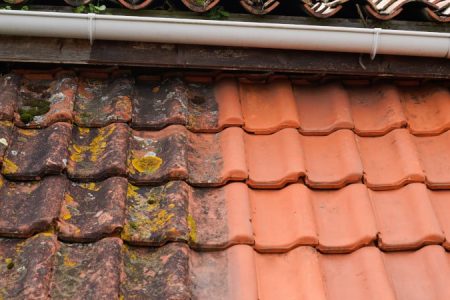 Démoussage de toiture de maison professionnel dans les Hauts de Seine 92